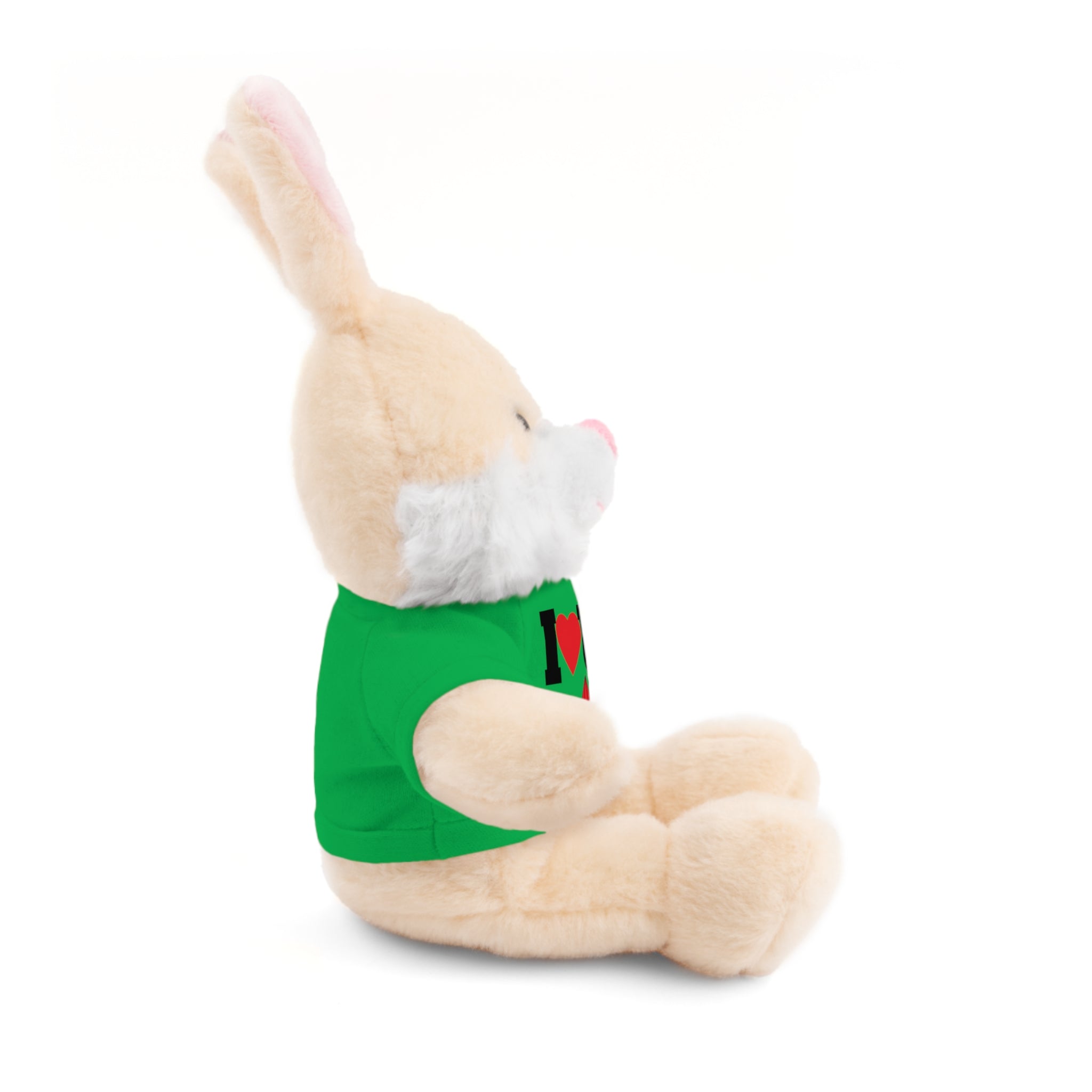 Plush Bear with Branded Tee – Red Diamond and Blue Roses Teddy