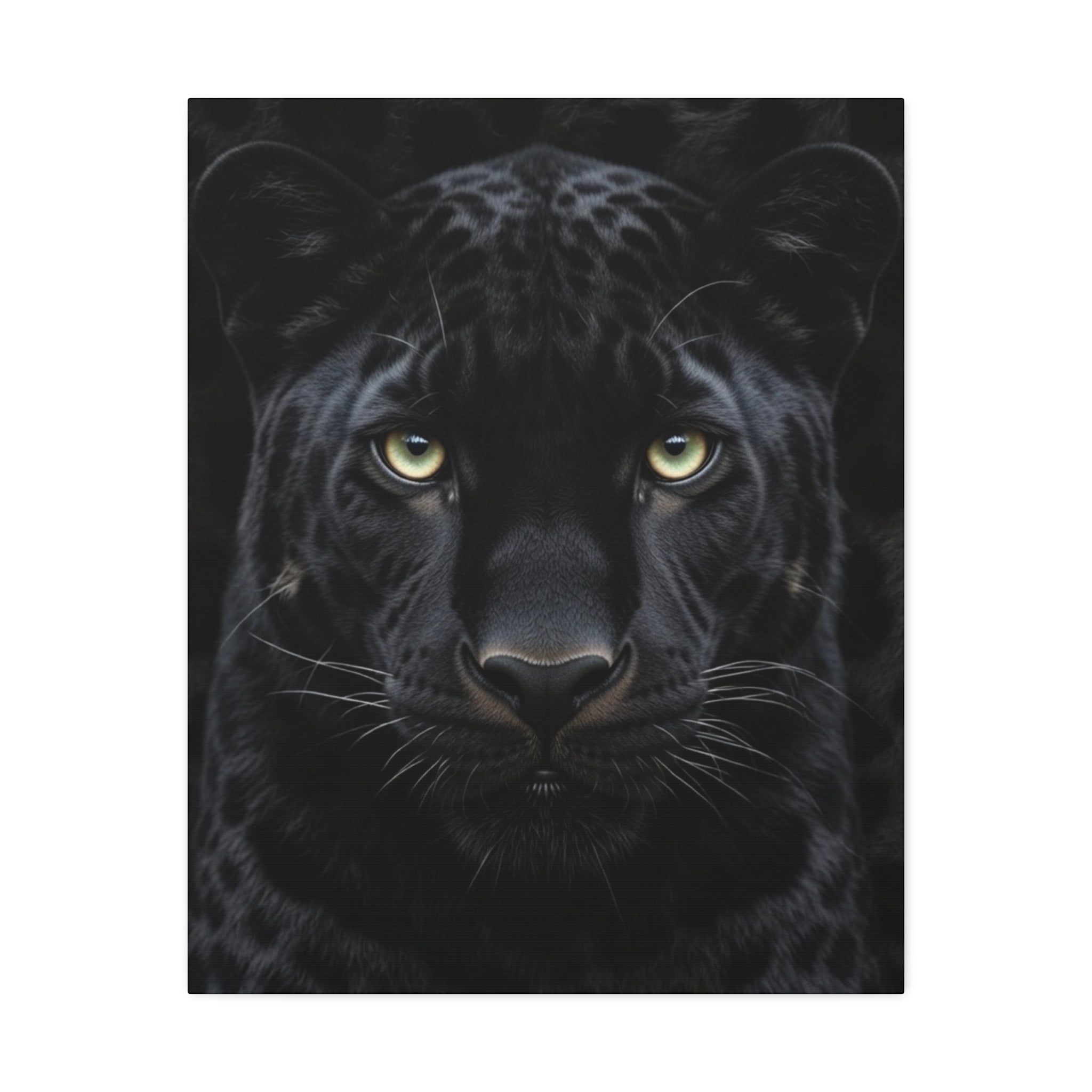Black Panther Wall Canvas — Intense Close-Up Stretched Canvas Art