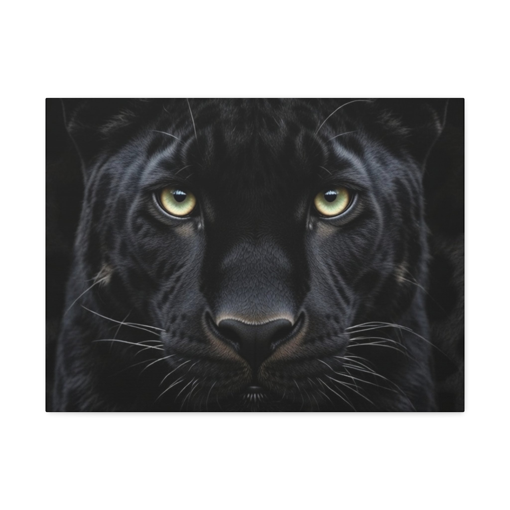 Black Panther Wall Canvas — Intense Close-Up Stretched Canvas Art