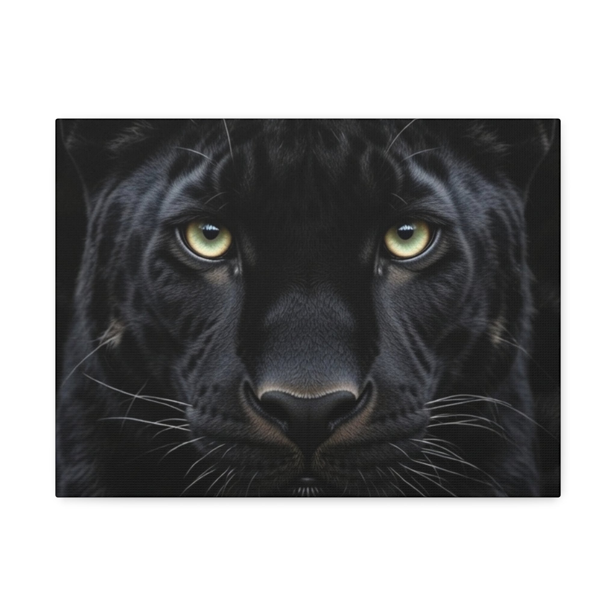 Black Panther Wall Canvas — Intense Close-Up Stretched Canvas Art