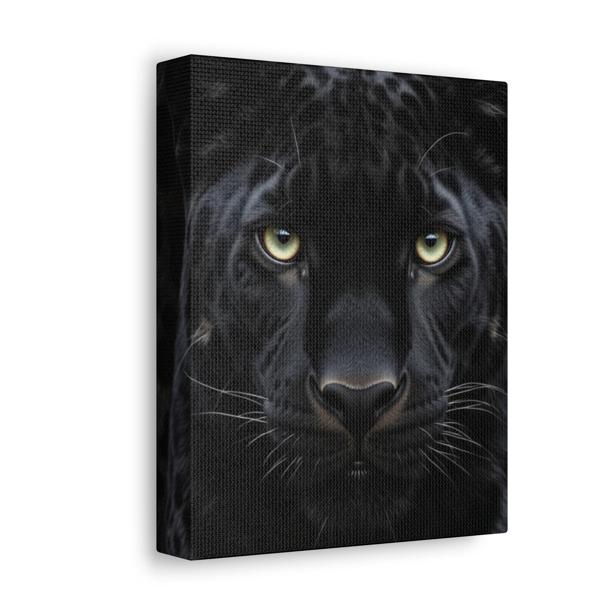 Black Panther Wall Canvas — Intense Close-Up Stretched Canvas Art