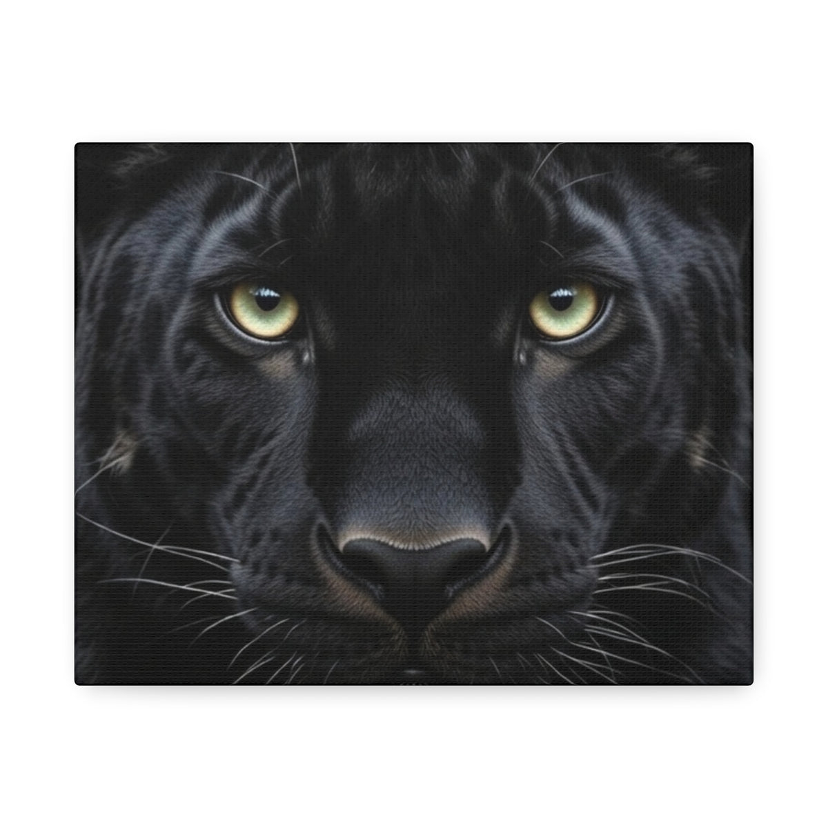 Black Panther Wall Canvas — Intense Close-Up Stretched Canvas Art