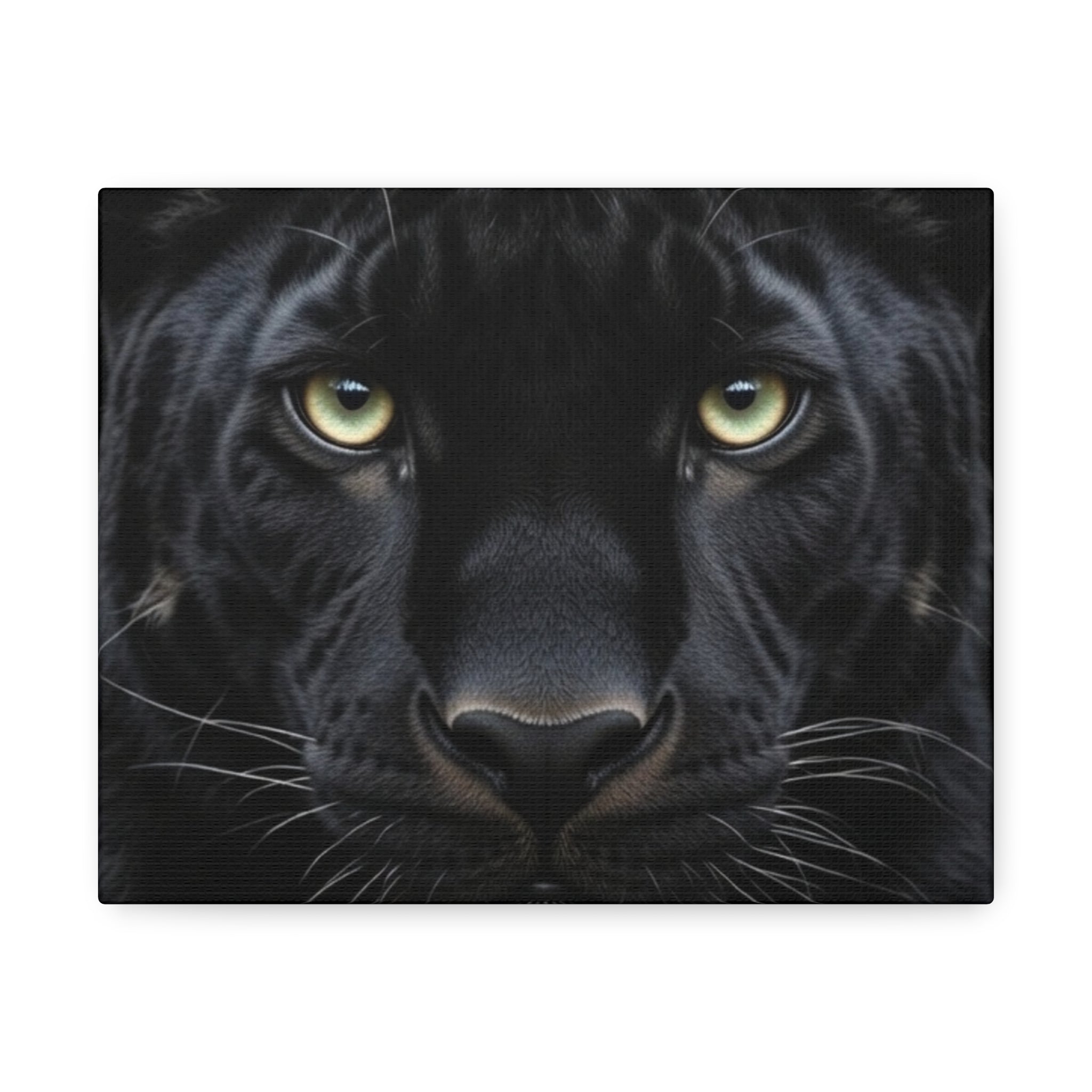 Black Panther Wall Canvas — Intense Close-Up Stretched Canvas Art
