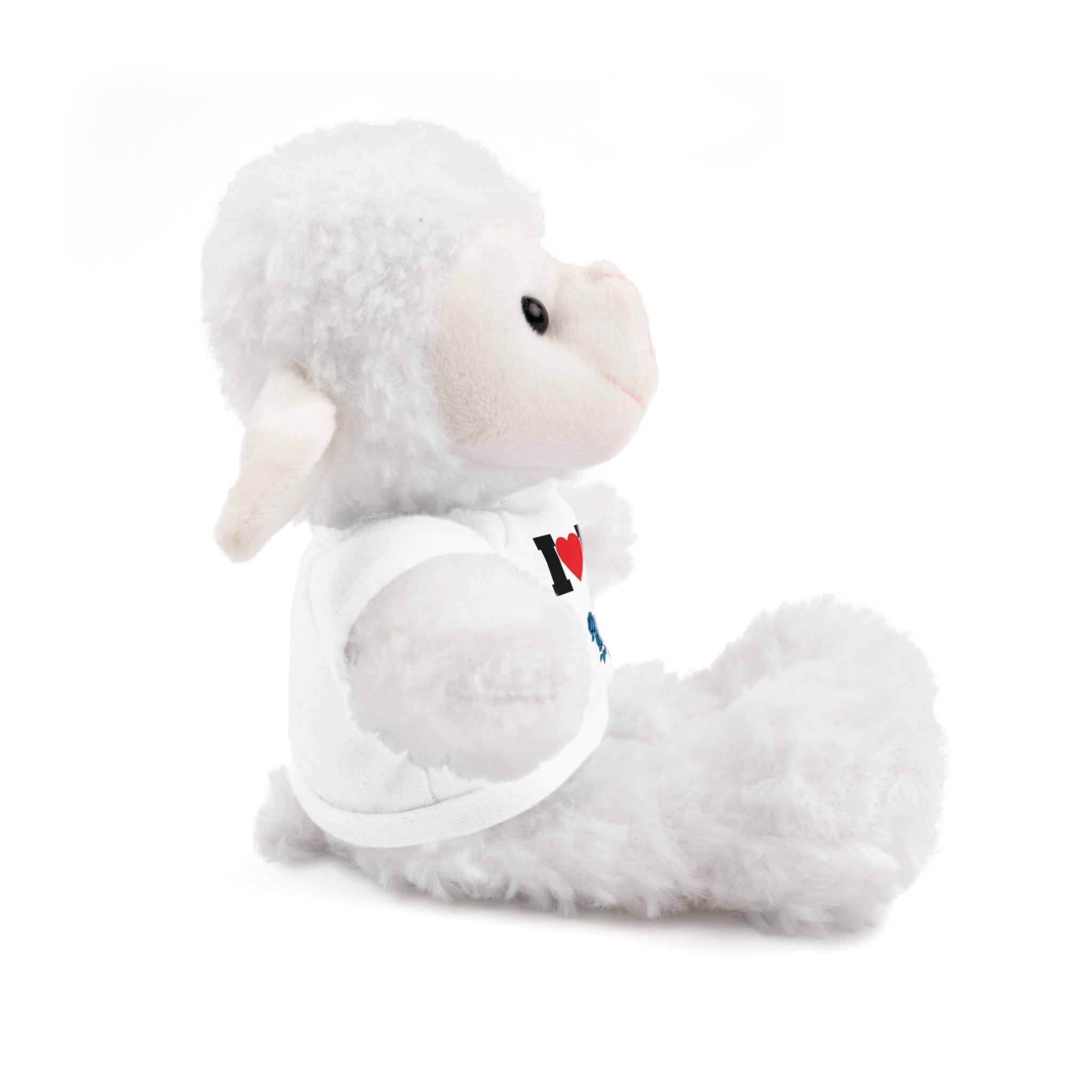 Plush Bear with Branded Tee – Red Diamond and Blue Roses Teddy