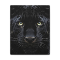 Black Panther Wall Canvas — Intense Close-Up Stretched Canvas Art
