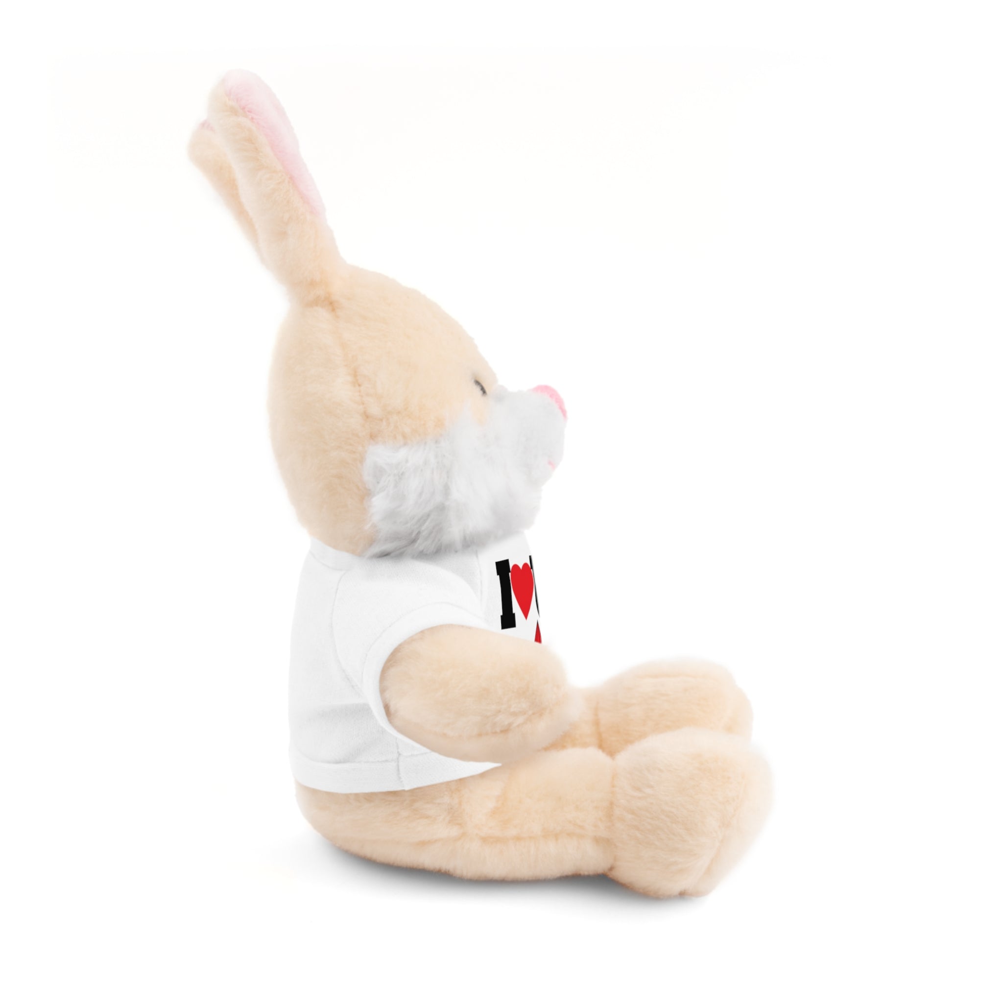 Plush Bear with Branded Tee – Red Diamond and Blue Roses Teddy