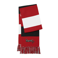 Embroidered Spectator Scarf — Striped Team Fan Scarf with Fringe