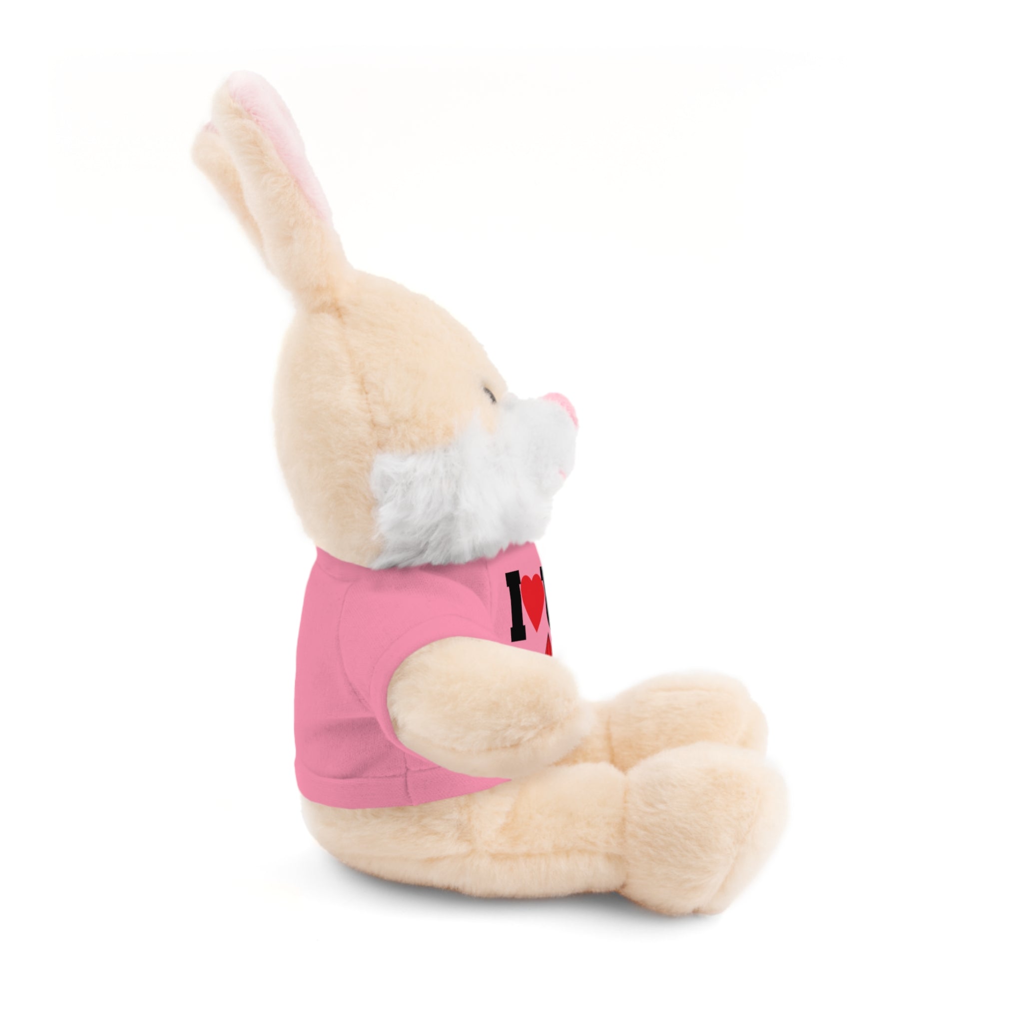 Plush Bear with Branded Tee – Red Diamond and Blue Roses Teddy