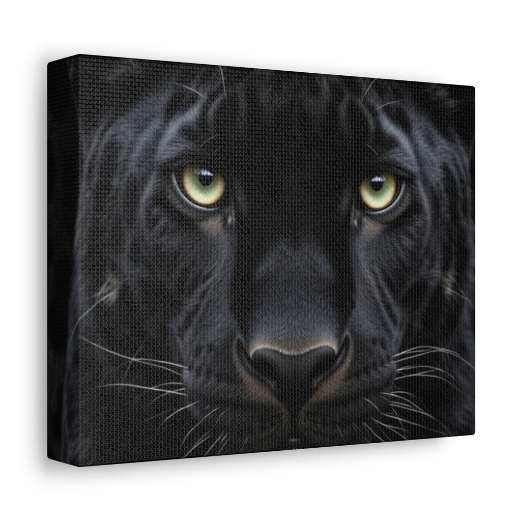 Black Panther Wall Canvas — Intense Close-Up Stretched Canvas Art