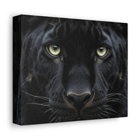 Black Panther Wall Canvas — Intense Close-Up Stretched Canvas Art