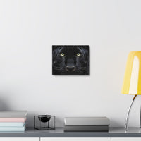 Black Panther Wall Canvas — Intense Close-Up Stretched Canvas Art