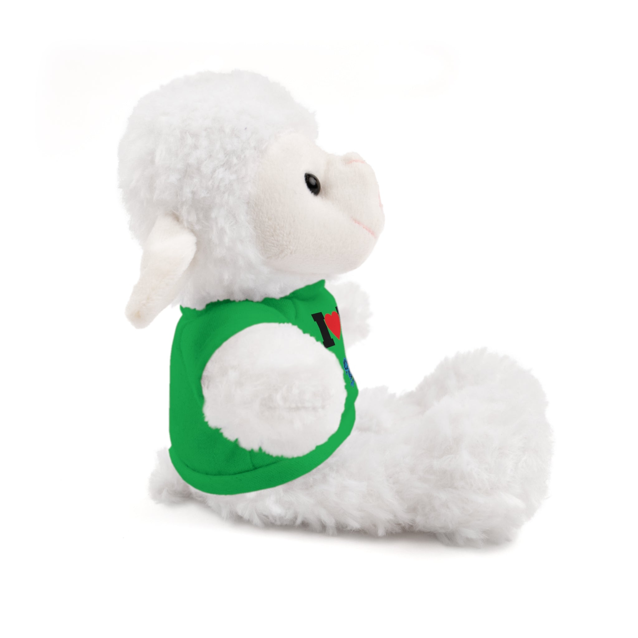 Plush Bear with Branded Tee – Red Diamond and Blue Roses Teddy