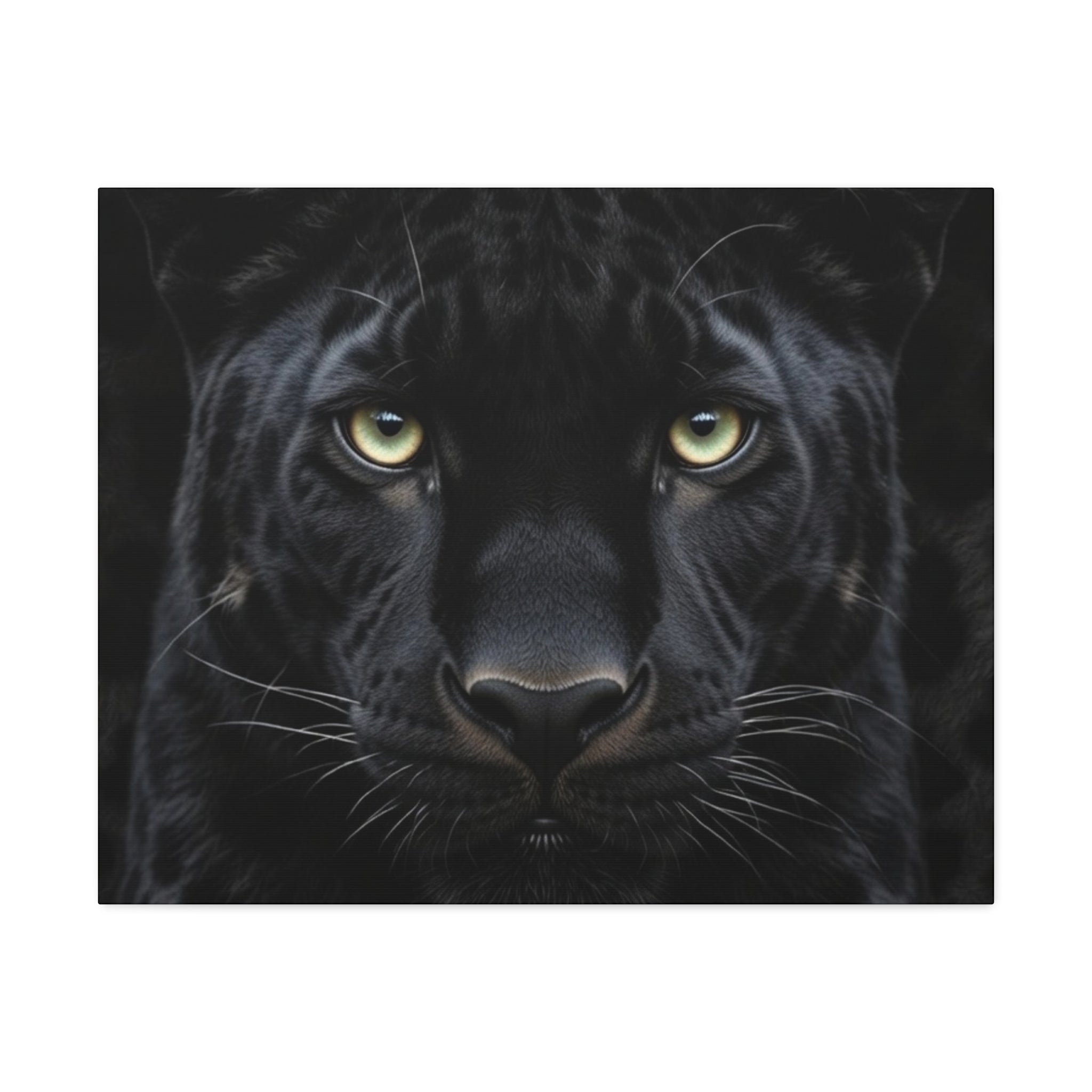 Black Panther Wall Canvas — Intense Close-Up Stretched Canvas Art