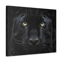 Black Panther Wall Canvas — Intense Close-Up Stretched Canvas Art