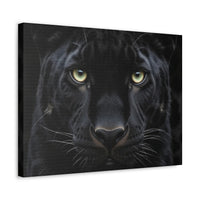 Black Panther Wall Canvas — Intense Close-Up Stretched Canvas Art