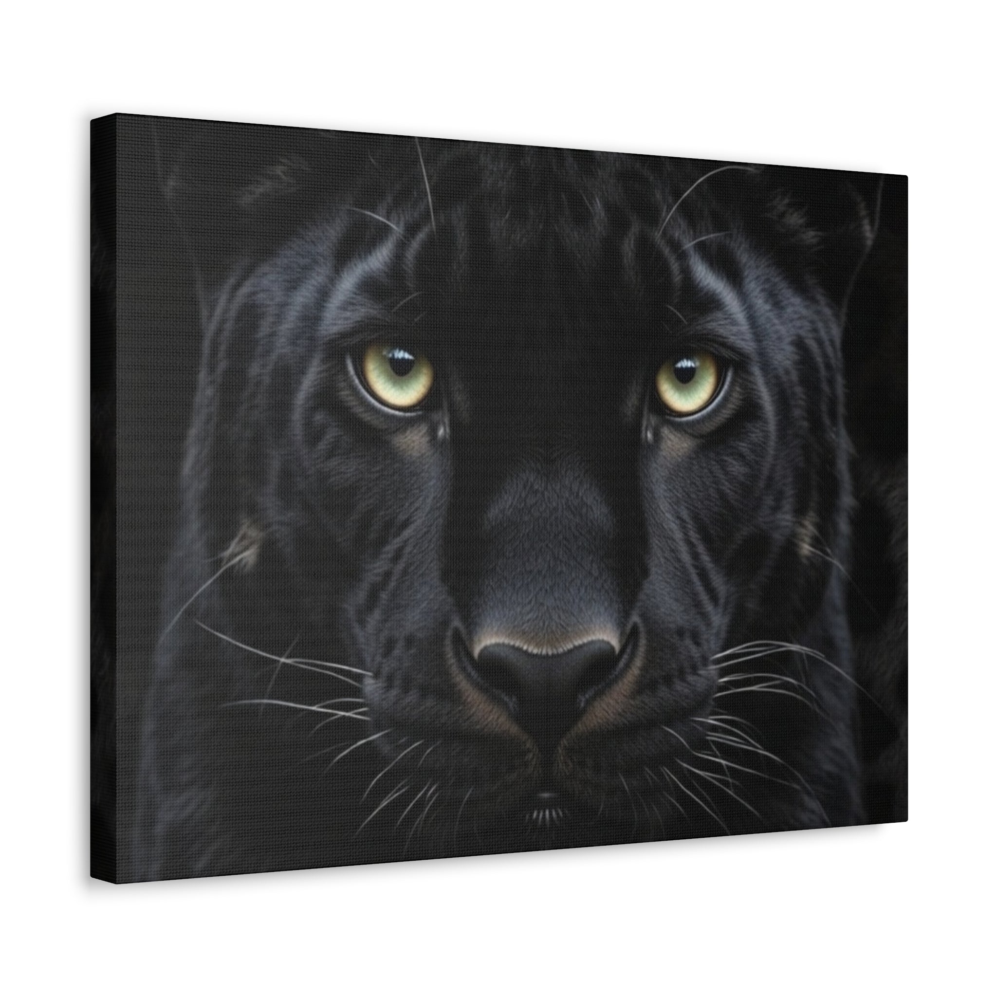 Black Panther Wall Canvas — Intense Close-Up Stretched Canvas Art