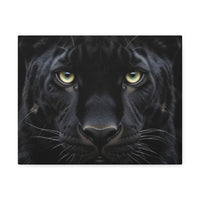 Black Panther Wall Canvas — Intense Close-Up Stretched Canvas Art